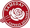 Express Delivery